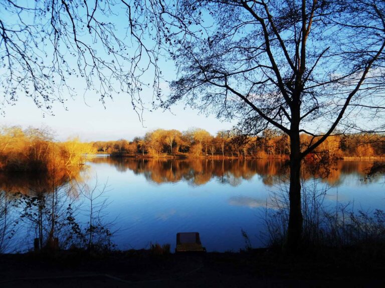 Lenches Lake, Worcestershire