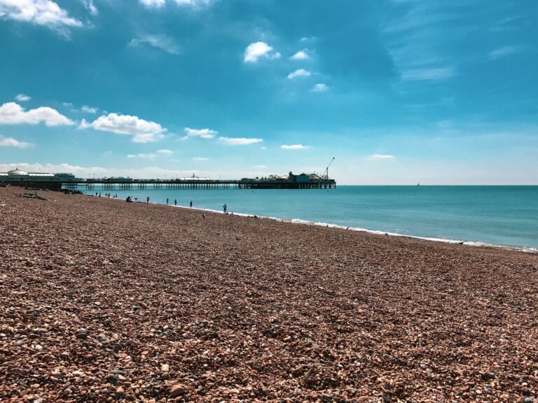 people on beach during daytime